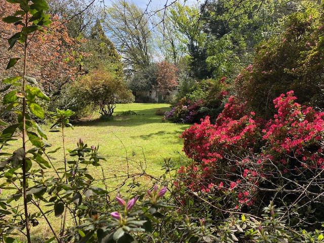1 Bedroom Property for Sale in Hogsback Eastern Cape
